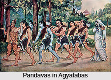 Pandavas with Draupadi in Exile