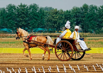 Jeev is the passenger in this chariot, intellect is the driver, mind is the bridle and the senses are the horses.Picture