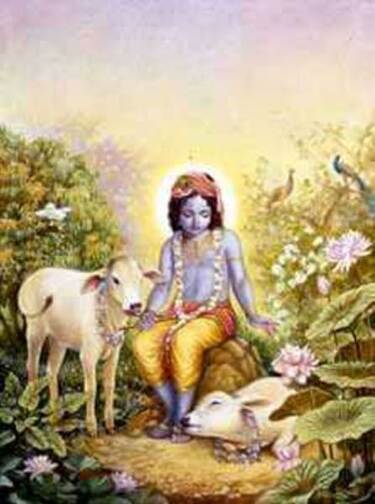 Shri Krishna graced even the animals, birds and plants